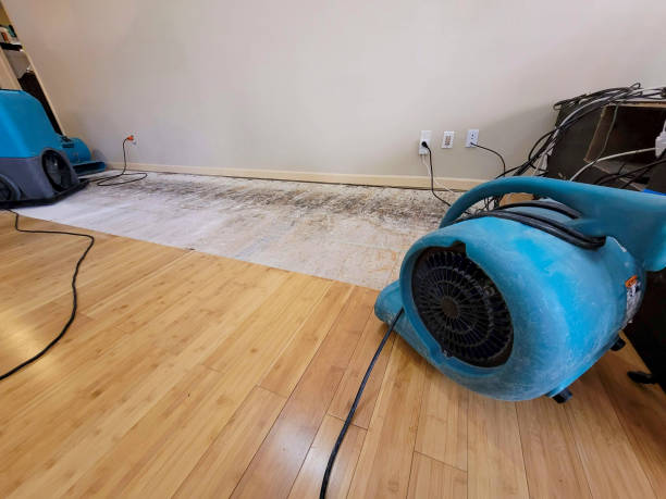 Reliable Basement Flood Cleanup contractor in North Adams, MI by Hirex Water Damage