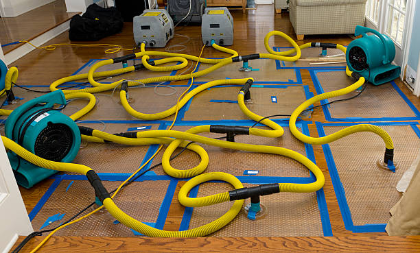 Professional Basement Flood Cleanup technician working in North Adams, MI
